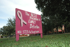 As part of Breast Cancer Awareness Month, NSU STEPs for Breast Health has put up signs around Nicholls campus.