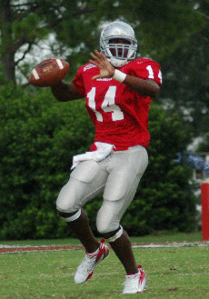 Junior quarterback Chris Bunch prepares to throw a pass at the Sept. 23 game against South Dakota State.