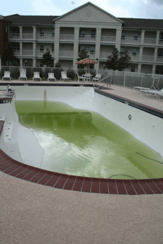 The pool water at La Maison du Bayou has been green for about two weeks. The University will be installing a new saltwater filtration system.