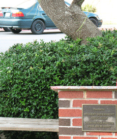 The podium at free speech alley was left vacant for most of Monday.  Free speech alley was held outside the front of the Union from 11 a.m. to 2 p.m. 