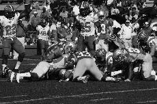 The Nicholls Colonels and the Jacksonville Gamecocks have a pile-up after a Colonel fumble on the Nicholls 22-yard line. The Colonels lost the Homecoming game to the Gamecocks 60-10.