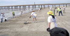 Volunteers assist with oil spill clean-up May 15 at Grand Isle State Park. The Barataria-Terrebonne National Estuary Program collaborated with other organizations for this even after the Deepwater Horizon oil spill.