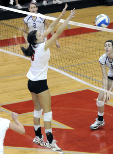 Sophomore middle blocker Jessica Addicks reaches up for the ball during Saturdays game against Stephen F. Austin.