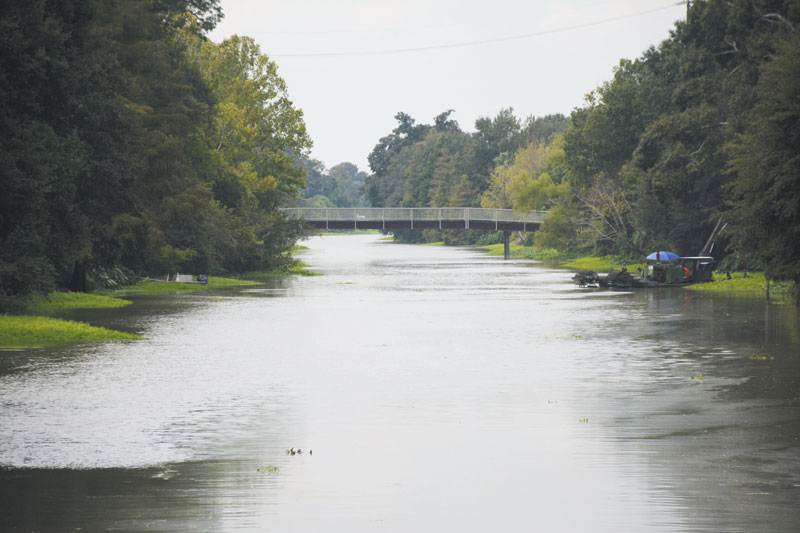 Like Bayou Lafourche, bayous are an important part of South Louisiana’s culture.