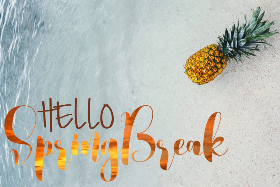 Five things students should do over spring break