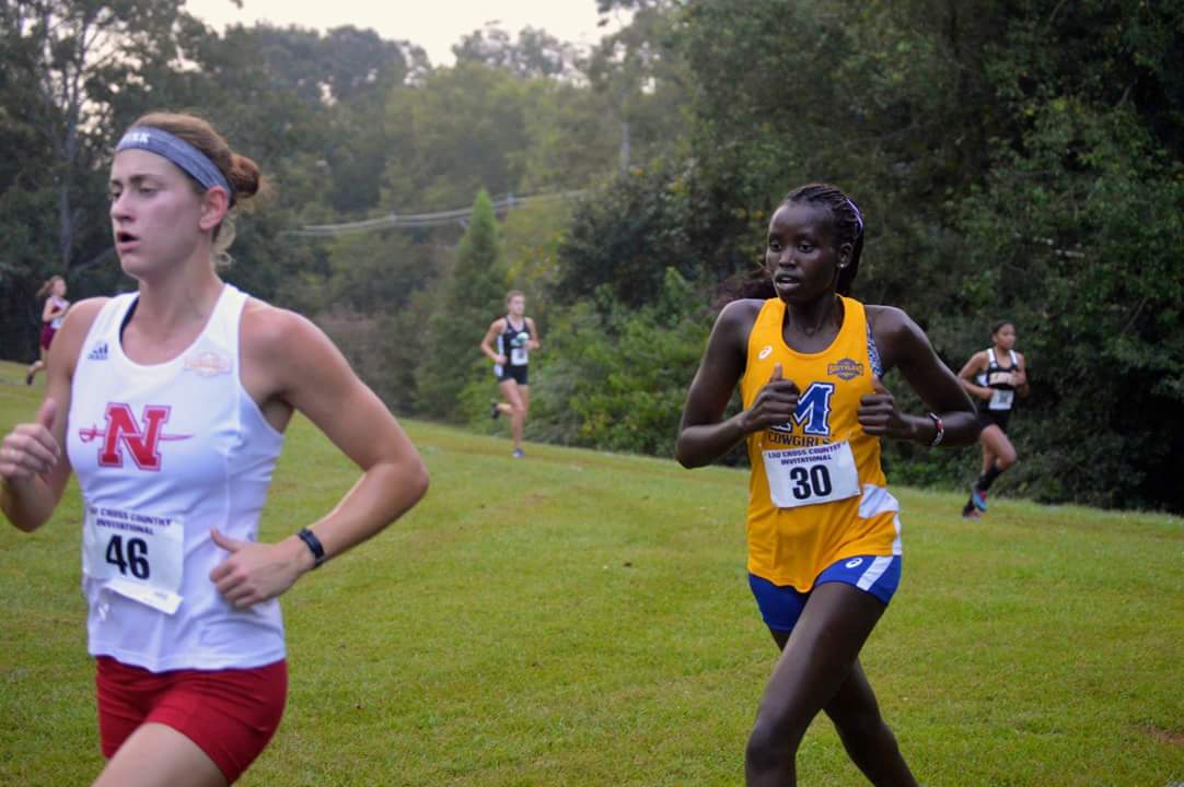 Cross country races in conference championships