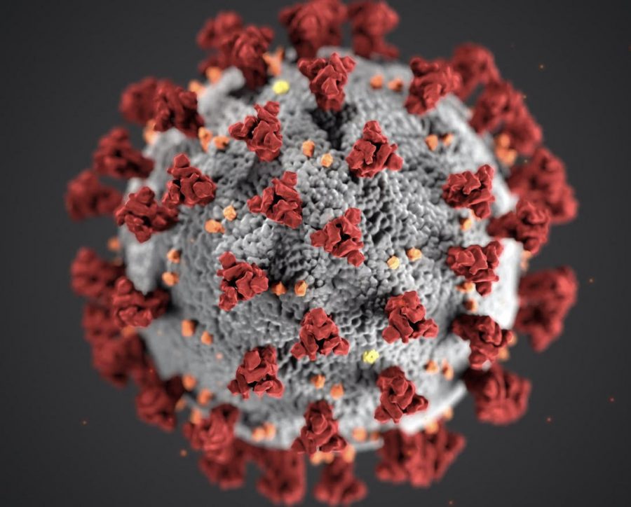 Coronavirus update: universities respond to local presumptive cases