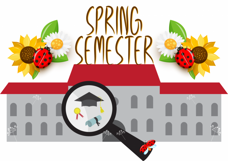 Nicholls State University resumes Hyflex schedule for spring semester