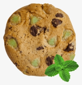 Opinion: The Best Chocolate & Mint Cookies