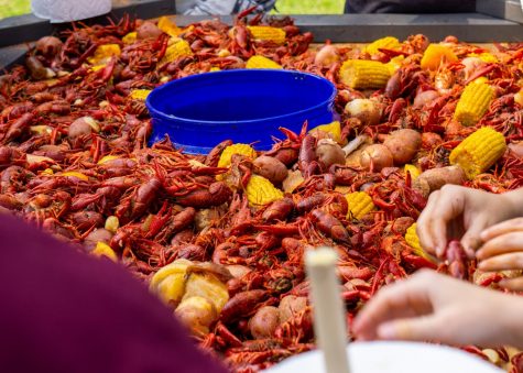 Opinion: My First Time Trying Crawfish