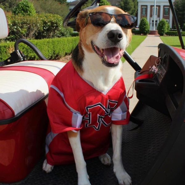 Photo courtesy of Nicholls State University via Facebook