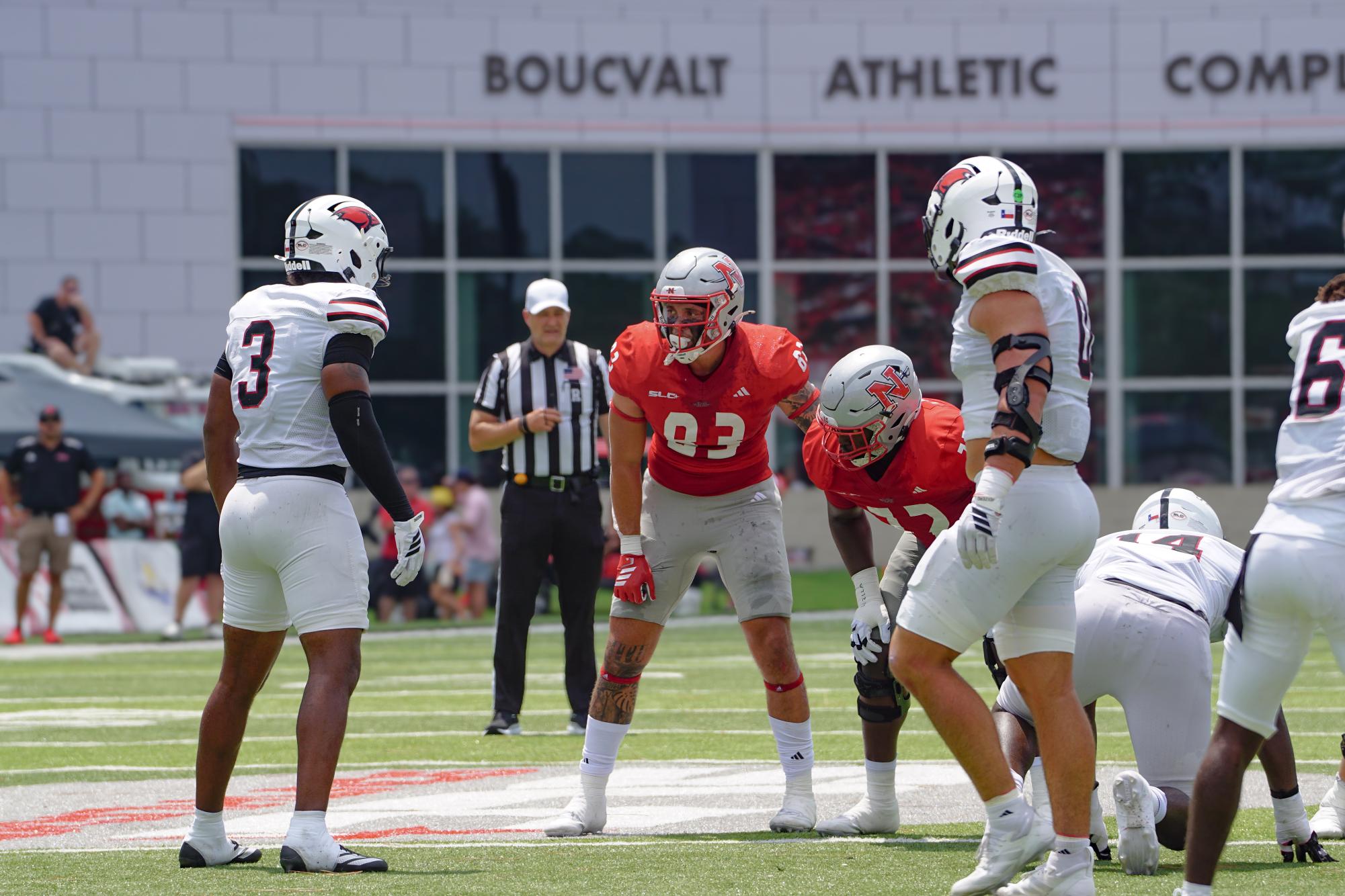 Glimpse into Game Day: A Photo Gallery
