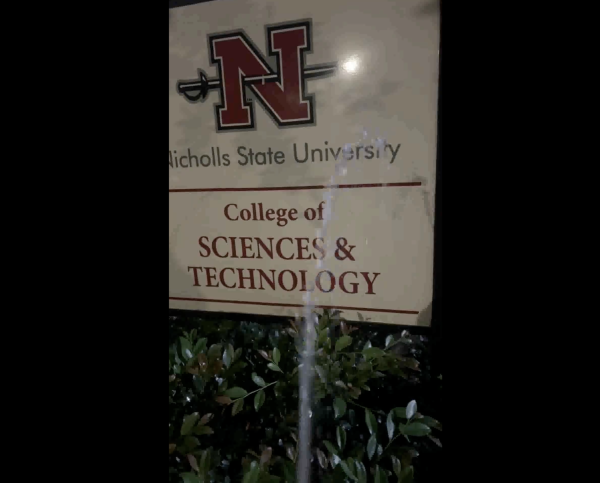 Post made by "Nicholls Pisser" TikTok account.