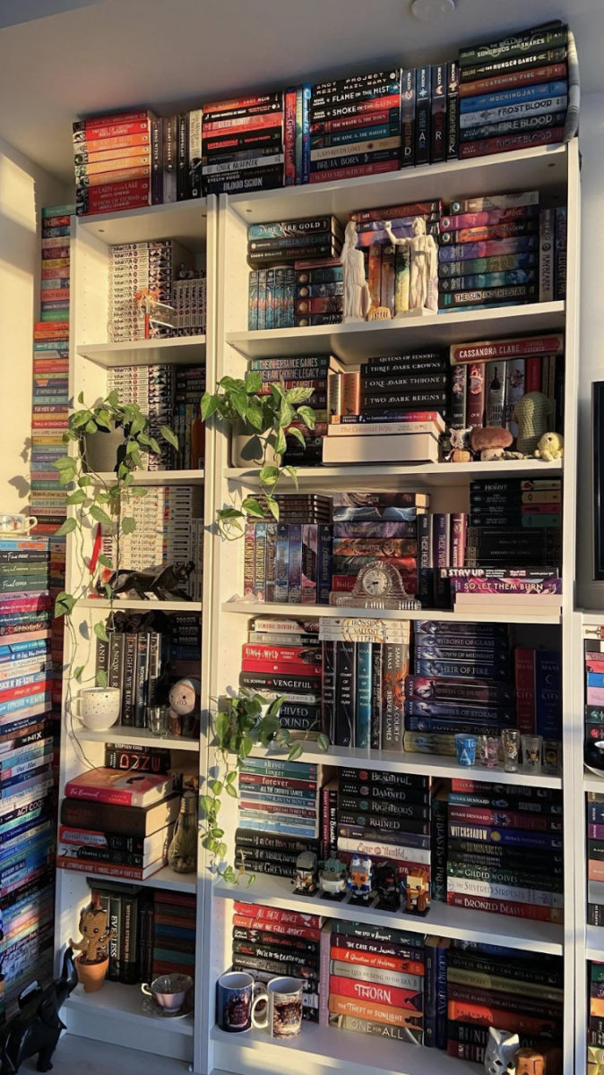 A full bookshelf.